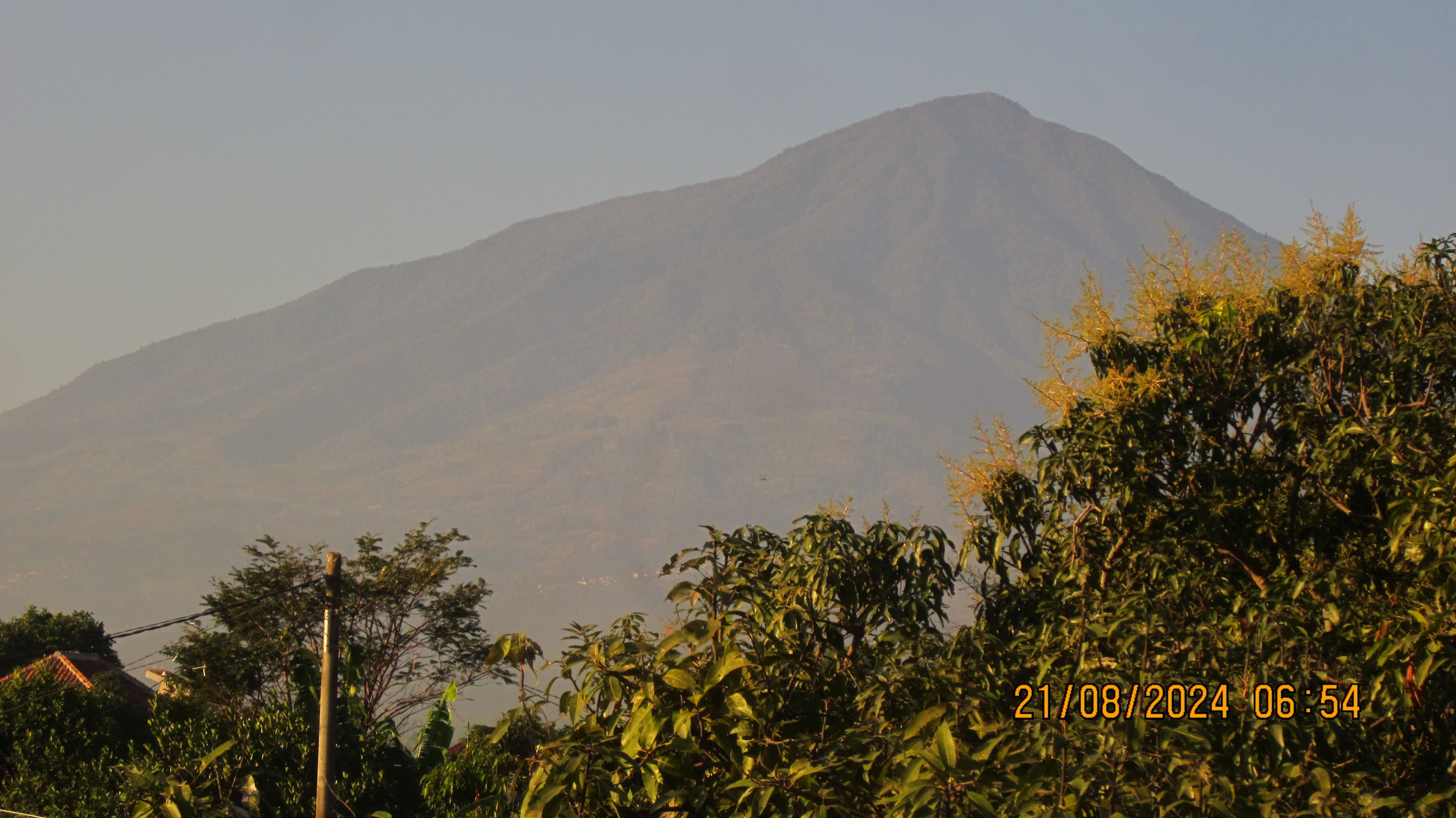 Muhammad Rifqi Firdaus1